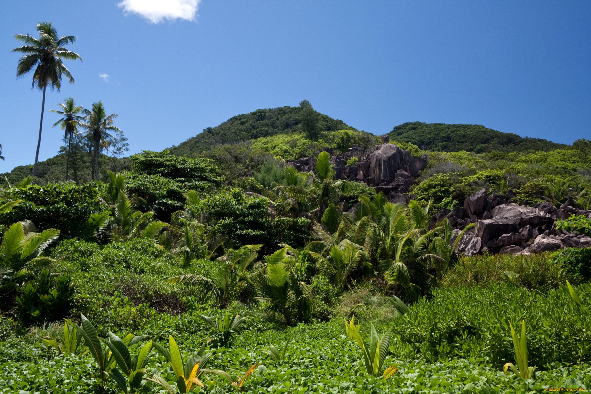 seychelles, , 